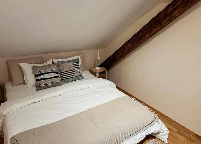 Stilvolle Stadtwohnung - Self Check-in Mit Guten Parkmoeglichkeiten Грац